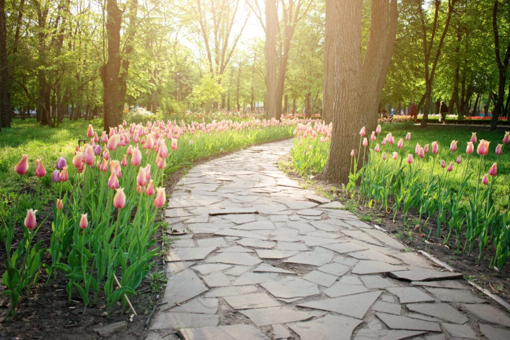 Open outdoor landscape with abstract movement path suggesting bodyweight practice